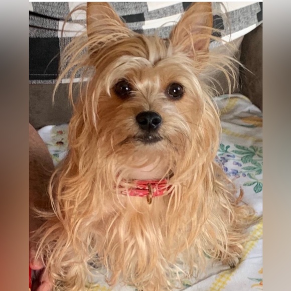 Mia’s - Picture 1 of 1